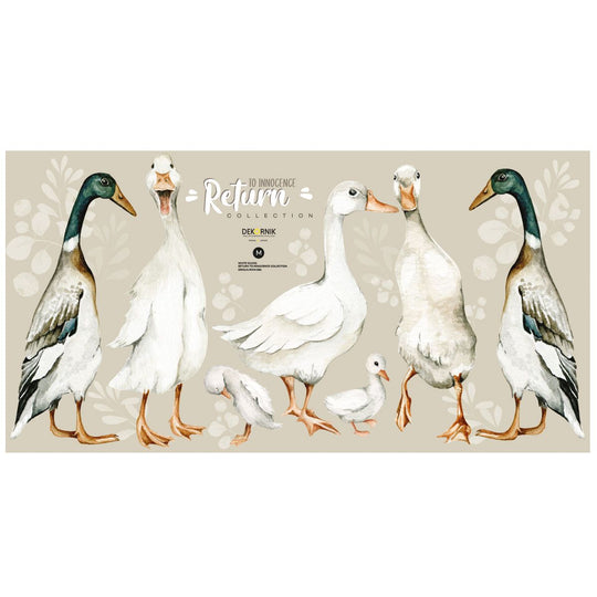 White Ducks / Return to Innocence