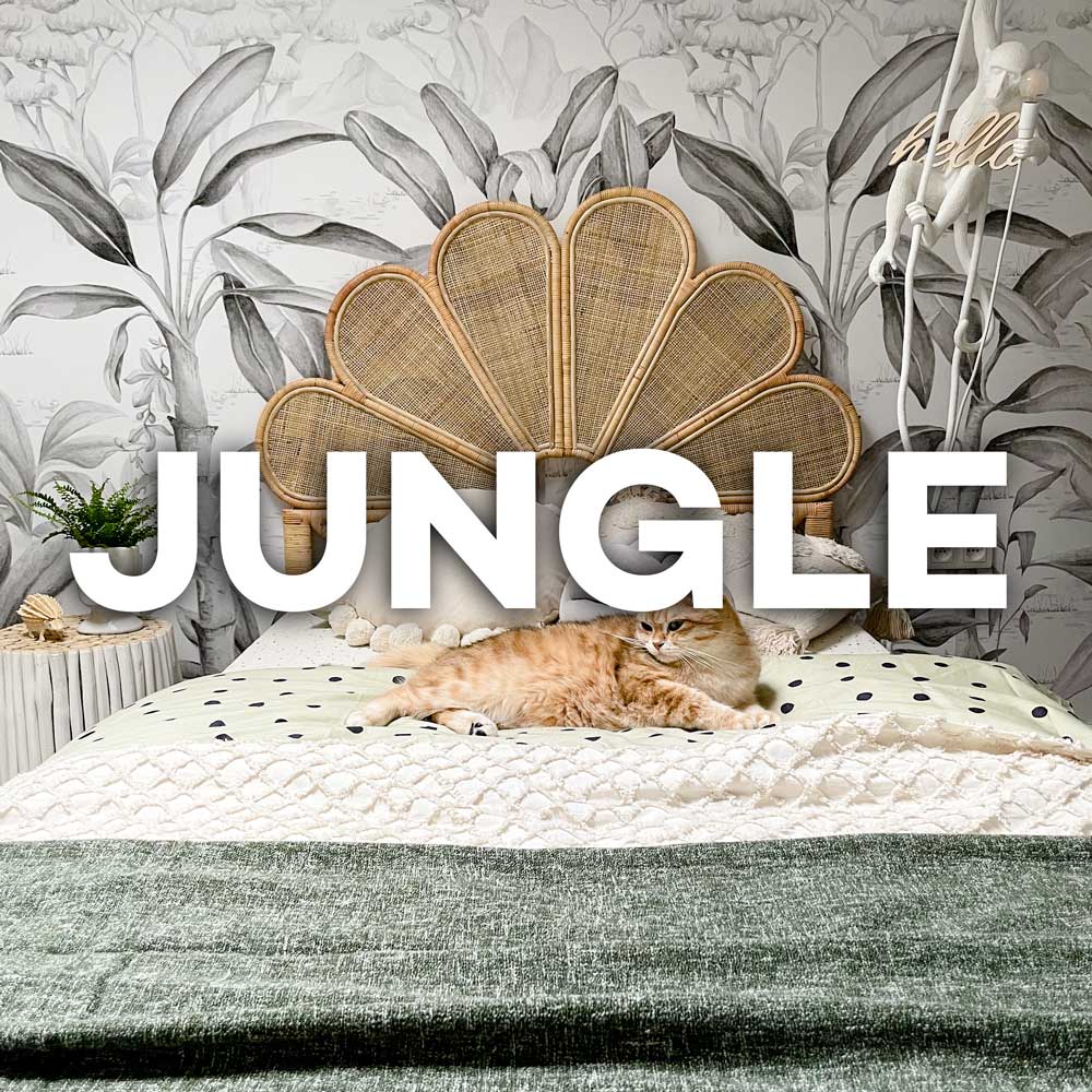 3 different jungle wallpapers. Which will fit your room?