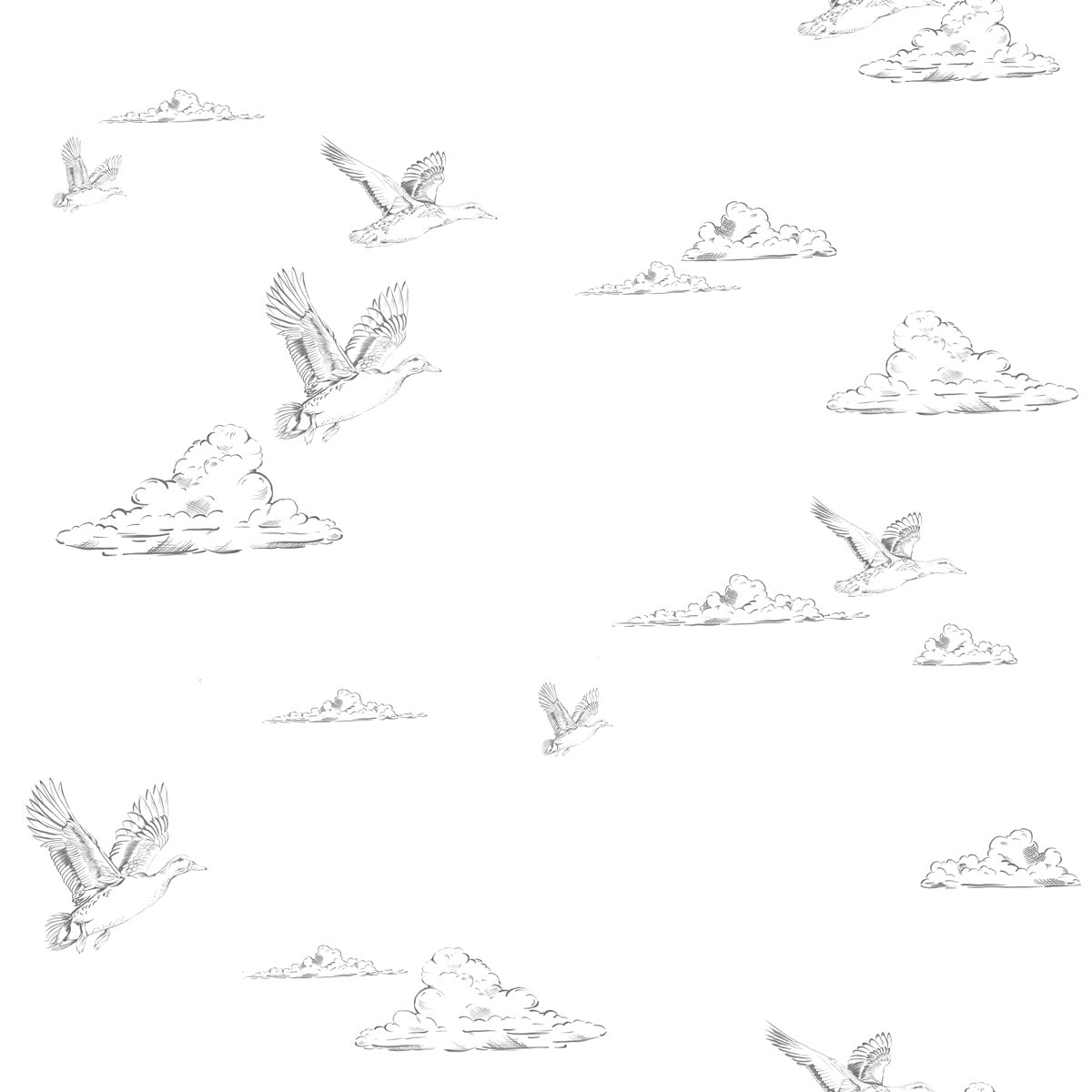 Ducks in the Sky White Wallpaper