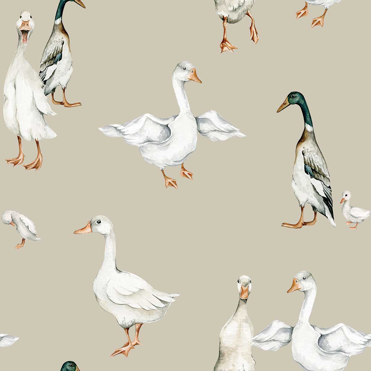 White Ducks Wallpaper Sample / Return to Innocence