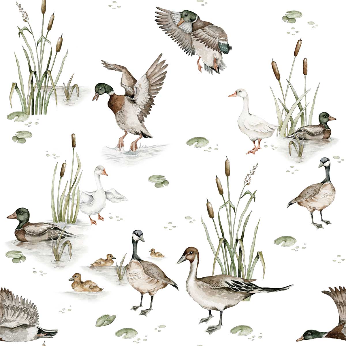 Ducks Lake Wallpaper Sample
