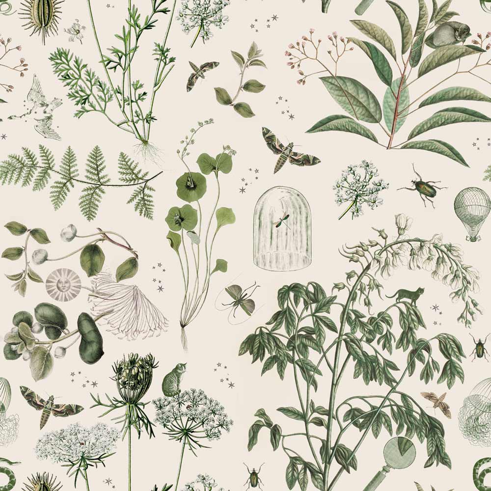 Green Botanical Stories Wallpaper Sample