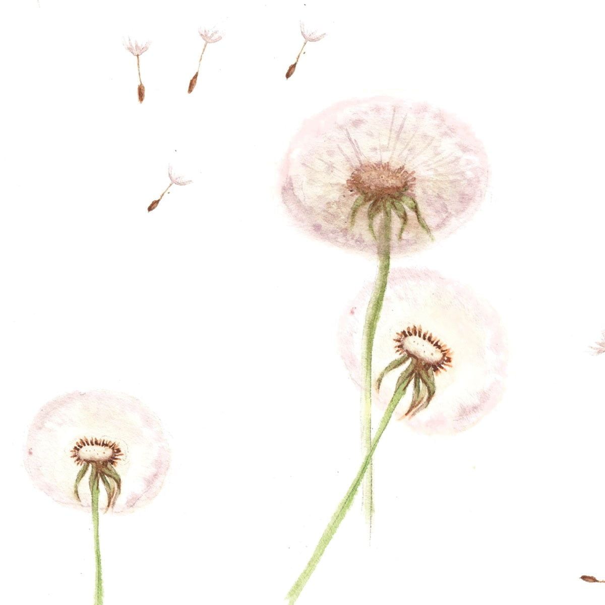 Dandelions Wallpaper