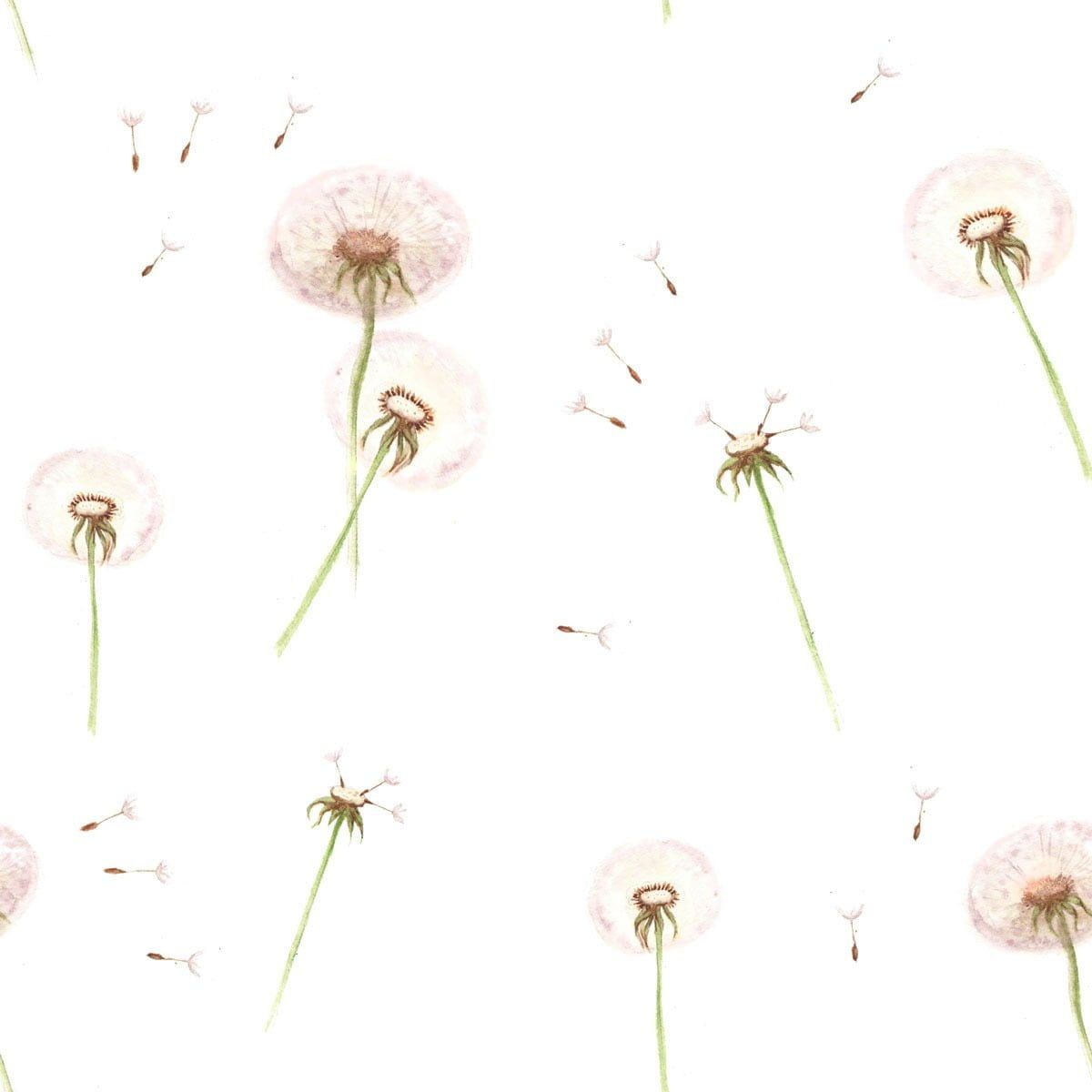 Dandelions Wallpaper