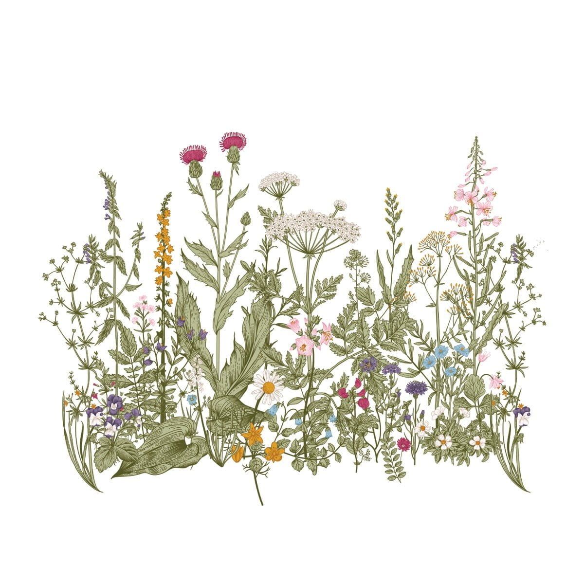 Meadow Colour Wallsticker