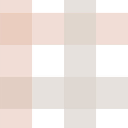 Provence check beige pink BIG